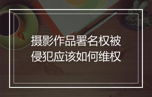 摄影作品署名权被侵犯应该如何维权