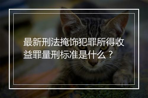 最新刑法掩饰犯罪所得收益罪量刑标准是什么？