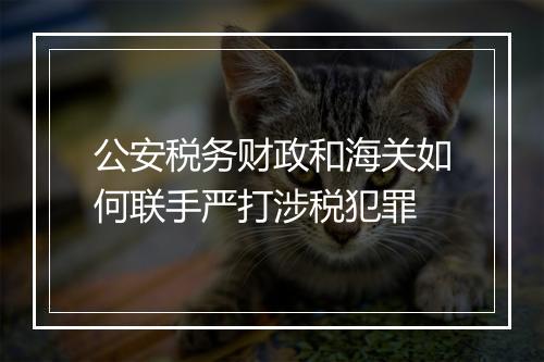 公安税务财政和海关如何联手严打涉税犯罪