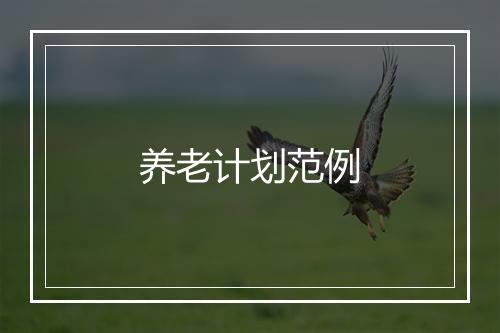 养老计划范例