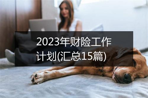 2023年财险工作计划(汇总15篇)