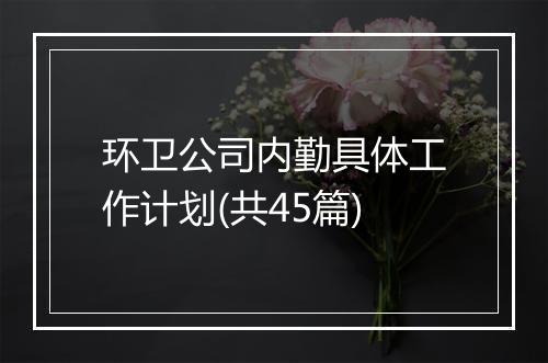环卫公司内勤具体工作计划(共45篇)