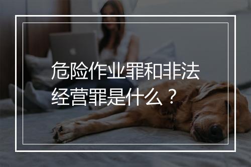 危险作业罪和非法经营罪是什么？