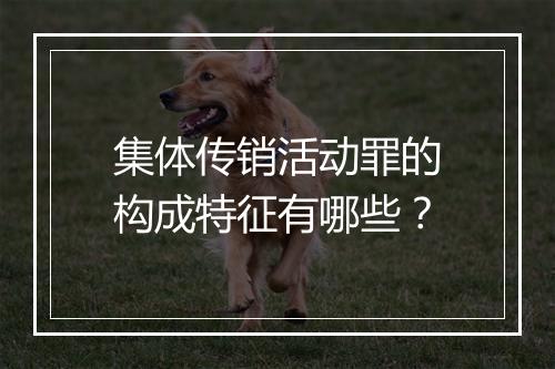 集体传销活动罪的构成特征有哪些？