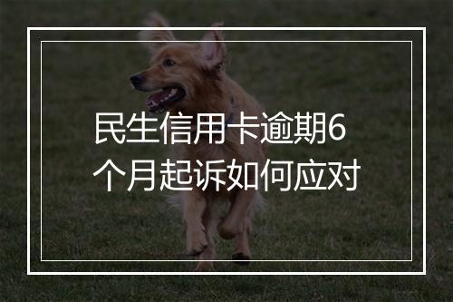 民生信用卡逾期6个月起诉如何应对