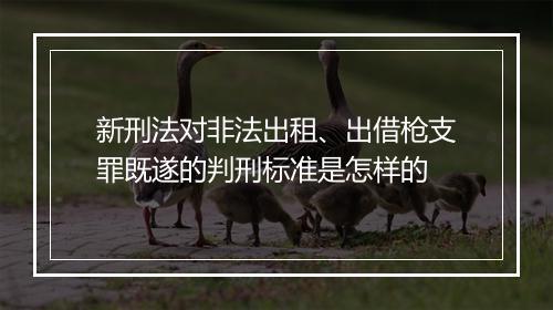 新刑法对非法出租、出借枪支罪既遂的判刑标准是怎样的