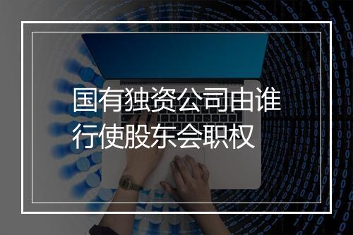 国有独资公司由谁行使股东会职权