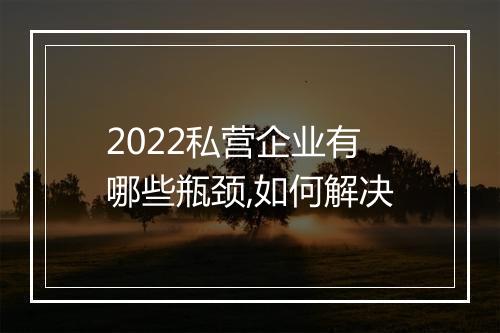 2022私营企业有哪些瓶颈,如何解决
