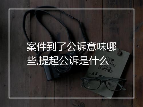 案件到了公诉意味哪些,提起公诉是什么