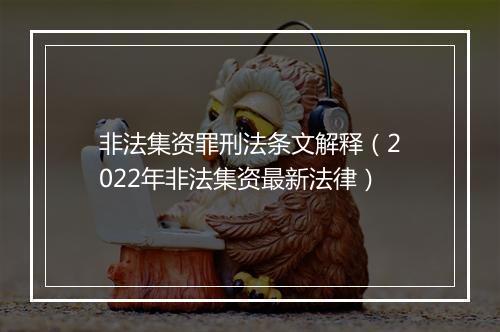 非法集资罪刑法条文解释（2022年非法集资最新法律）