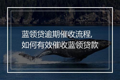 蓝领贷逾期催收流程,如何有效催收蓝领贷款