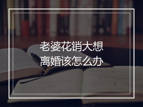 老婆花销大想离婚该怎么办