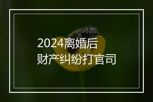 2024离婚后财产纠纷打官司