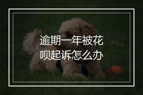 逾期一年被花呗起诉怎么办