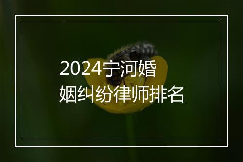 2024宁河婚姻纠纷律师排名