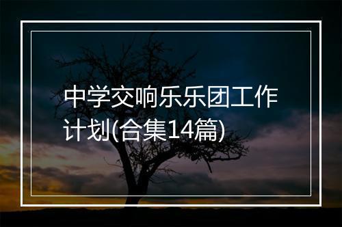 中学交响乐乐团工作计划(合集14篇)