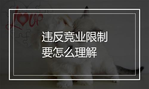 违反竞业限制要怎么理解