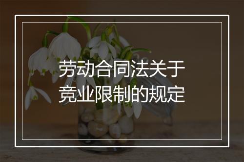 劳动合同法关于竞业限制的规定