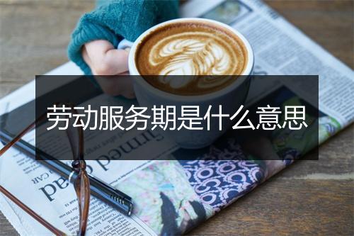 劳动服务期是什么意思