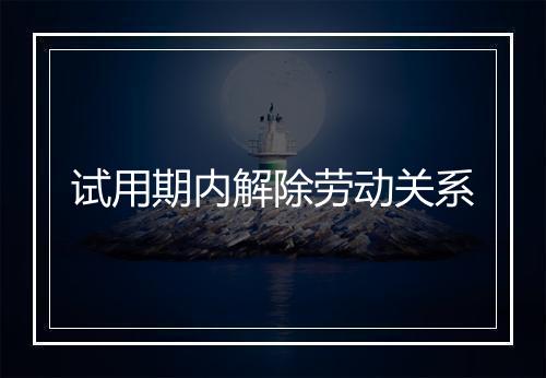 试用期内解除劳动关系