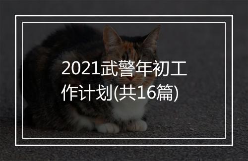 2021武警年初工作计划(共16篇)