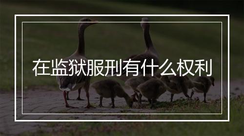 在监狱服刑有什么权利