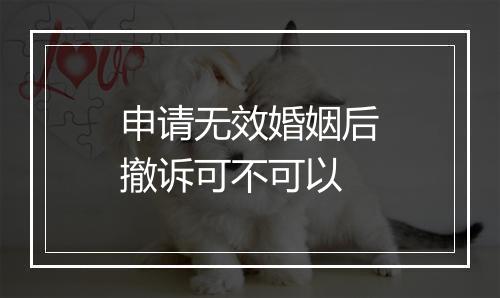 申请无效婚姻后撤诉可不可以