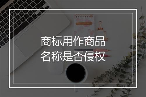 商标用作商品名称是否侵权