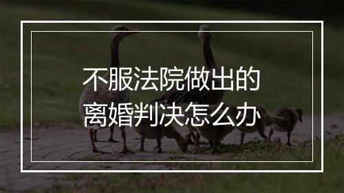 不服法院做出的离婚判决怎么办