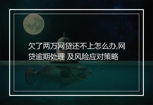 欠了两万网贷还不上怎么办,网贷逾期处理 及风险应对策略