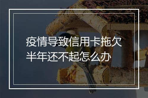 疫情导致信用卡拖欠半年还不起怎么办