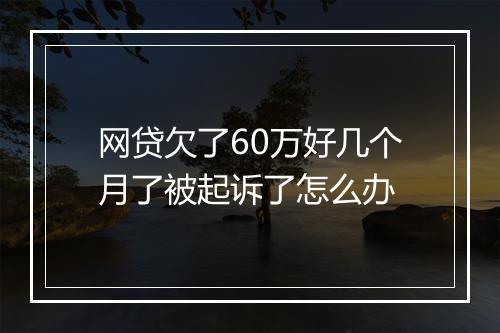 网贷欠了60万好几个月了被起诉了怎么办