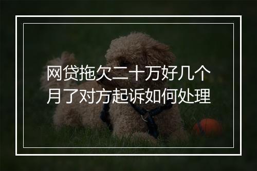 网贷拖欠二十万好几个月了对方起诉如何处理
