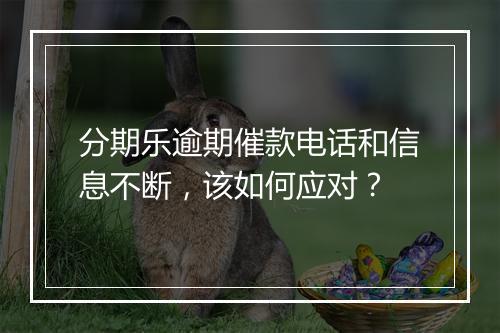 分期乐逾期催款电话和信息不断，该如何应对？