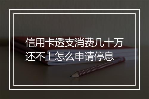 信用卡透支消费几十万还不上怎么申请停息