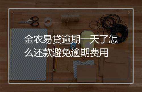 金农易贷逾期一天了怎么还款避免逾期费用