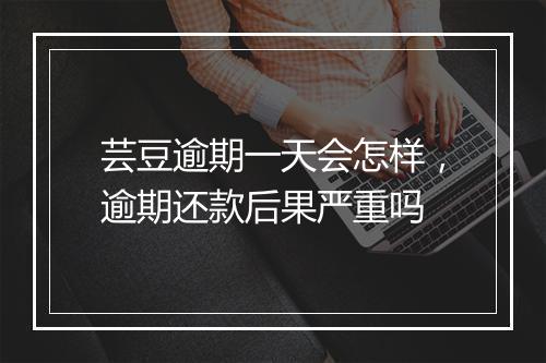 芸豆逾期一天会怎样，逾期还款后果严重吗