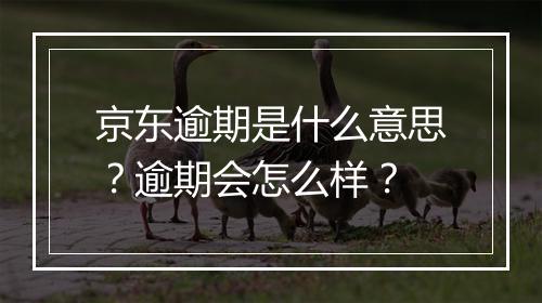 京东逾期是什么意思？逾期会怎么样？