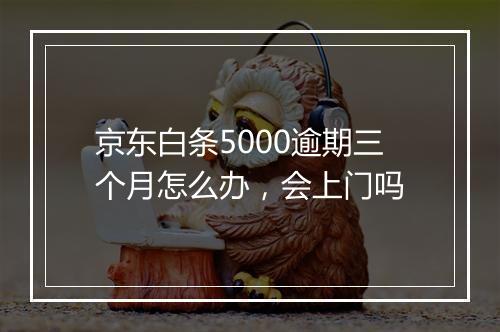 京东白条5000逾期三个月怎么办，会上门吗