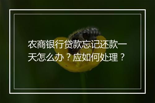农商银行贷款忘记还款一天怎么办？应如何处理？