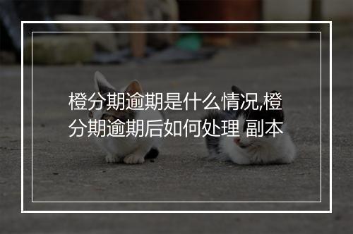 橙分期逾期是什么情况,橙分期逾期后如何处理 副本