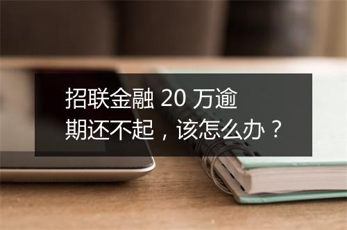 招联金融 20 万逾期还不起，该怎么办？