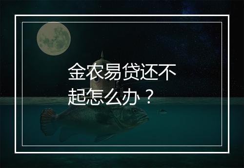 金农易贷还不起怎么办？