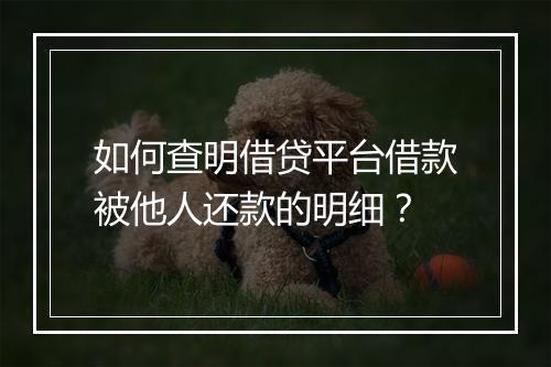 如何查明借贷平台借款被他人还款的明细？