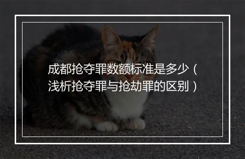 成都抢夺罪数额标准是多少（浅析抢夺罪与抢劫罪的区别）