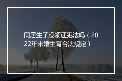 同居生子没领证犯法吗（2022年未婚生育合法规定）
