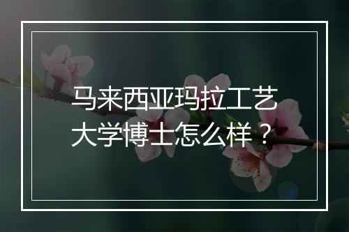 马来西亚玛拉工艺大学博士怎么样？