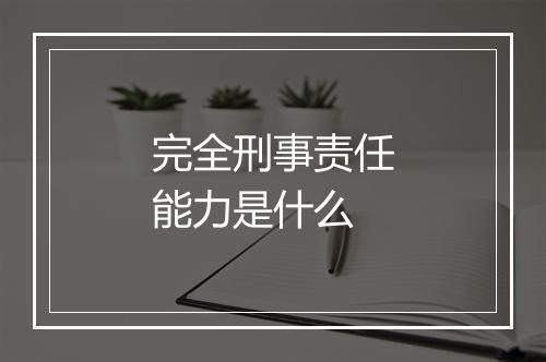 完全刑事责任能力是什么