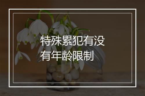 特殊累犯有没有年龄限制