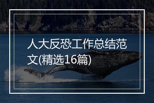 人大反恐工作总结范文(精选16篇)